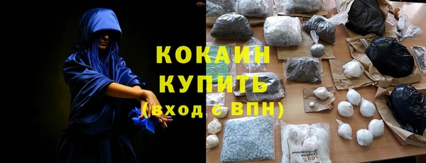 бошки Белокуриха