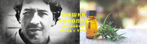бошки Белокуриха