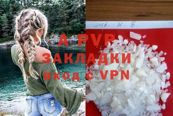 бошки Белокуриха