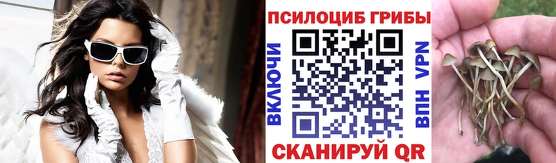 Галлюциногенные грибы GOLDEN TEACHER  где купить наркотик  Волчанск 